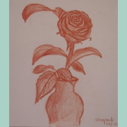Thumbnail Rose en pot